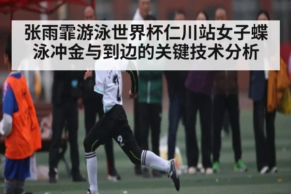 张雨霏游泳世界杯仁川站女子蝶泳冲金与到边的关键技术分析